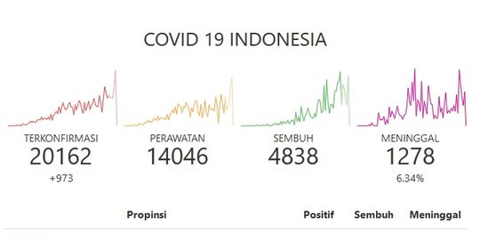 Penambahan 973 Orang Positif Covid-19 dalam Sehari, Indonesia di Masa Puncak Wabah?