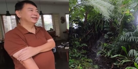 10 Potret Rumah Orang Indonesia di Depok, Sejuk Banget Ada Hutan dan Air Terjun