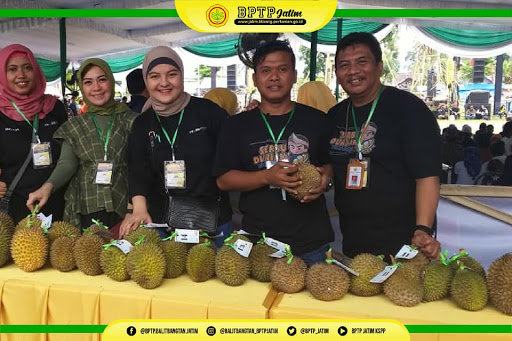 durian kembang lumajang