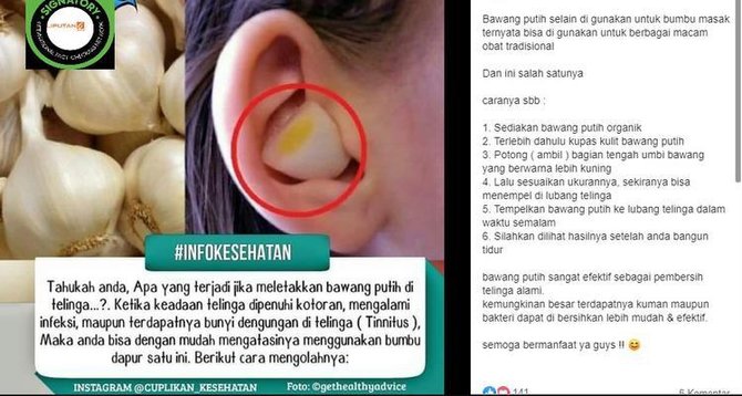 cek fakta tidak benar bawang puting bisa hilangkan sakit jika diletakkan di telinga