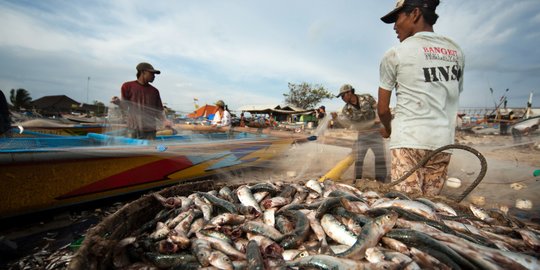 Pemerintah Gandeng BUMN Serap Ikan Tangkapan Nelayan dan Budidaya