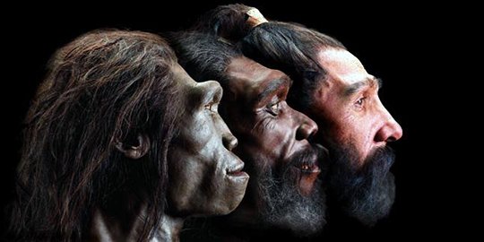 Tertua di Indonesia, Ini 5 Fakta Fosil Manusia Purba dari Bumiayu