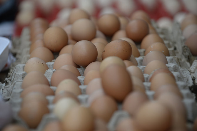 harga telur masih normal jelang lebaran