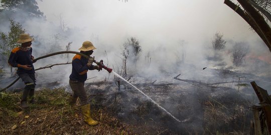 KLHK Fokus Penanggulangan Kebakaran Hutan di Tujuh Provinsi