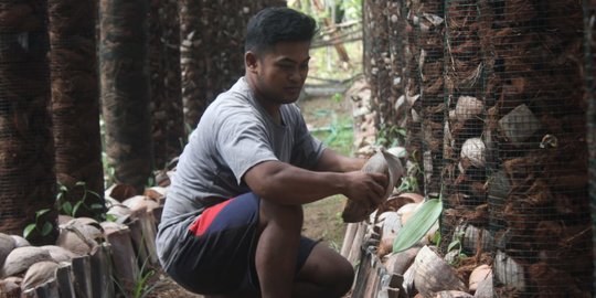 Perangi Stunting, Kementan Dorong Masyarakat Bercocok Tanam di Pekarangan Rumah