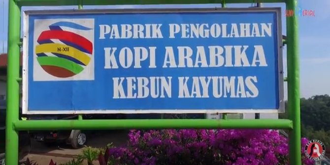 perkebunan kopi kayumas
