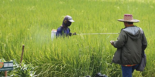 Cegah Munculnya Krisis Pangan Akibat Pandemi, Ini Kata Satgas Pesantren di Jogja