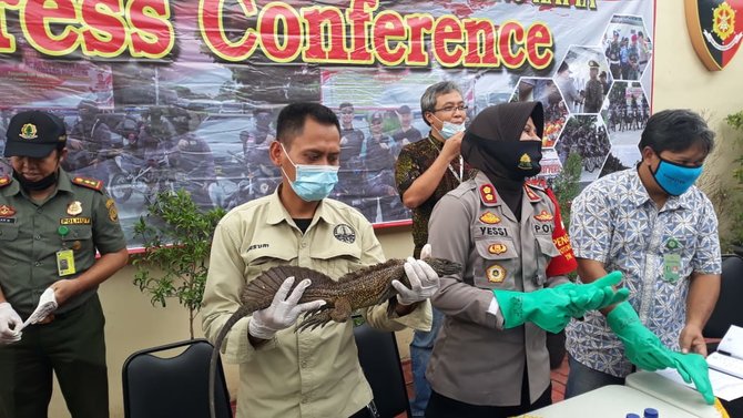 polresta bandara soetta ungkap perdagangan reptil ilegal