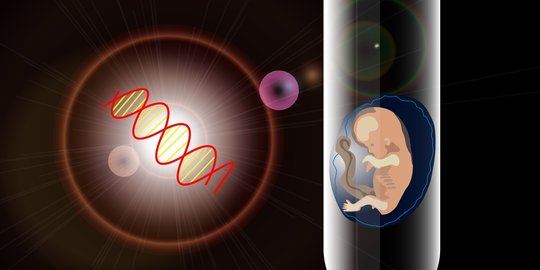 7 Proses Terjadinya Bayi Tabung Calon Orang Tua Wajib Tahu Dan Paham Merdeka 