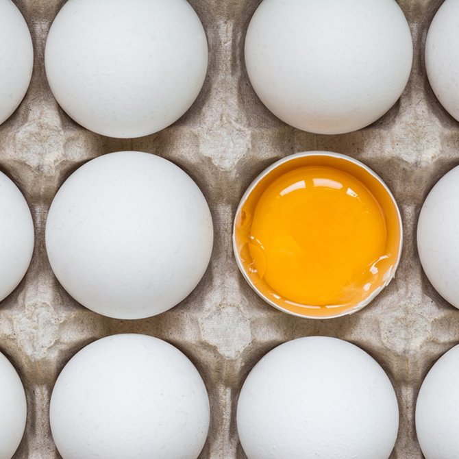 Fungsi sebagai putih telur mempunyai 10 Cara