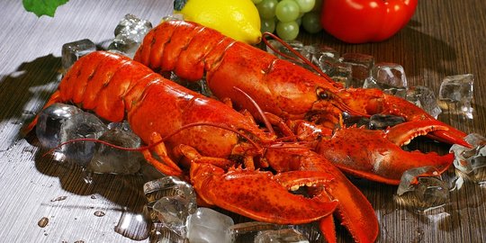 Ombudsman Siap Kawal Kebijakan Ekspor Lobster