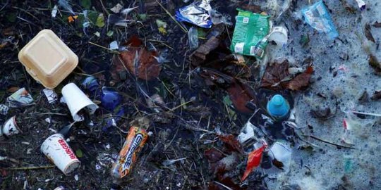 hari laut sedunia, menteri edhy ingatkan masalah sampah plastik harus segera diatasi