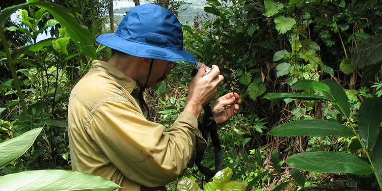 Struktur Dan Fungsi Jaringan Tumbuhan Beserta Jenisnya Merdeka Com Struktur Dan Fungsi Jaringan Tumbuhan Beserta Jenisnya Merdeka Com