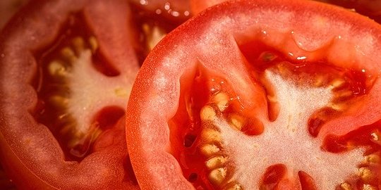 Cara Menanam Tomat yang Mudah Dilakukan, Enggak Ribet dan Hanya Menggunakan Pot