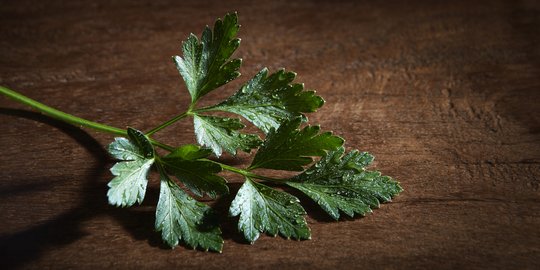 15 Manfaat Parsley Bagi Kesehatan Tubuh dan Kulit, Kaya Nutrisi