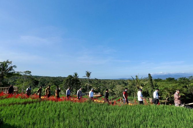 pariwisata banyuwangi