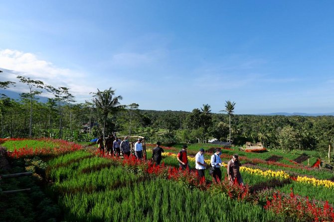 pariwisata banyuwangi