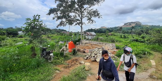 Cerita Balita di Samarinda Terluka Parah Usai Diserang Monyet Liar