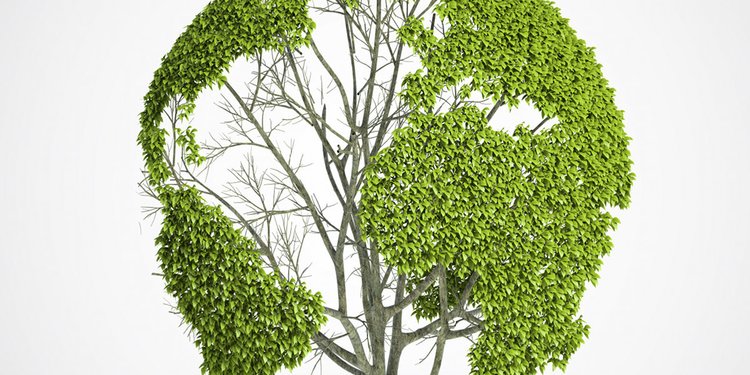 Ketahui Penyebab Perubahan Iklim Dan Dampaknya Secara Luas Bagi Bumi Merdeka Com