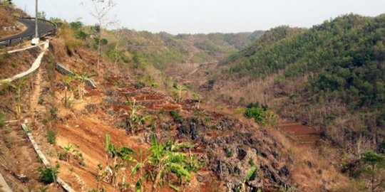 Menguak Jejak Sungai Bengawan Solo Purba, Banyak Peninggalan Prasejarah