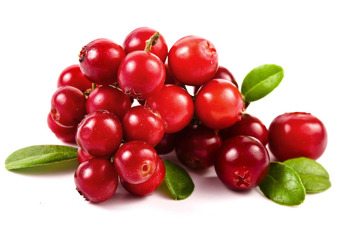 ilustrasi cranberry