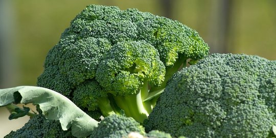 4 buah dan sayur yang tanpa disadari dikonsumsi dengan cara salah
