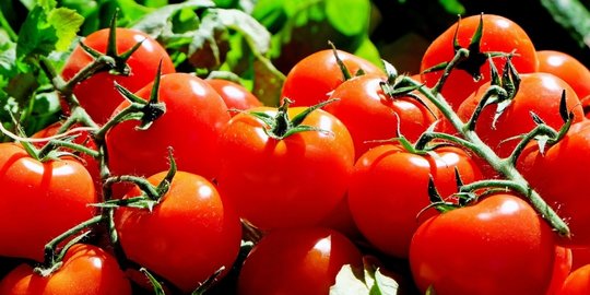 4 buah dan sayur yang tanpa disadari dikonsumsi dengan cara salah