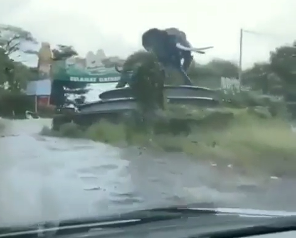 kampung gajah wonderland bandung