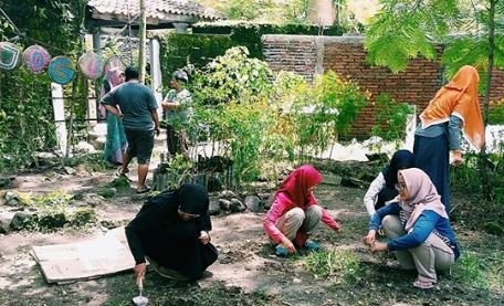 komunitas jogja berkebun