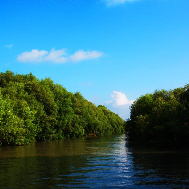 wisata mangrove karangsong indramayu