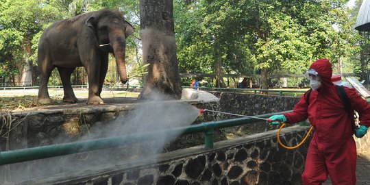 Taman Margasatwa Ragunan Disemprot Disinfektan Jelang Dibuka Kembali