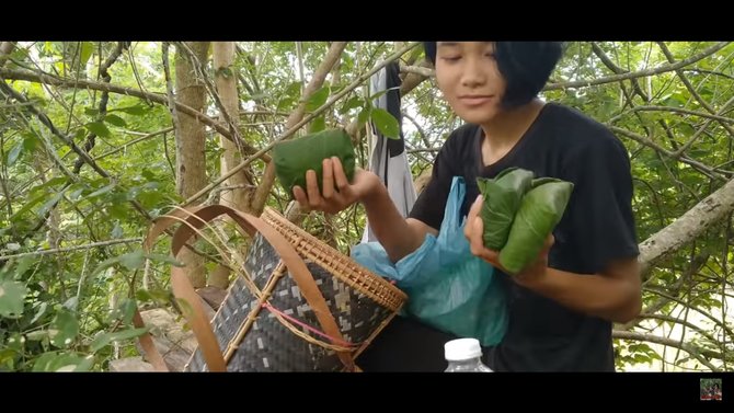 24 jam di atas pohon