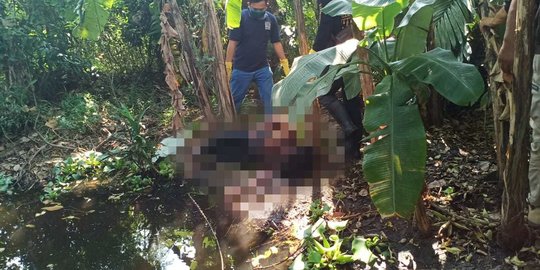 Warga Tangerang Digegerkan Penemuan Mayat Perempuan di Kubangan Air