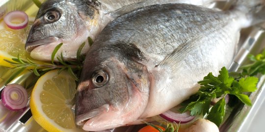11 Jenis Ikan Air Tawar yang Sering Dikonsumsi