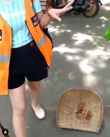 wanita langgar psbb