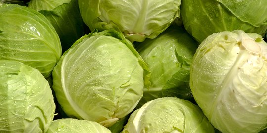 CEK FAKTA: Hoaks Virus Covid-19 Menempel di Lapisan Sayur Kol