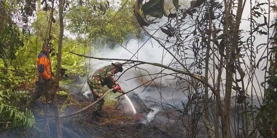 90 Desa yang Tersebar di 10 Kabupaten Se-Sumsel Rawan Karhutla