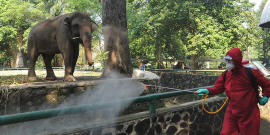 Kembali Beroperasi, Ini Waktu Operasional TMII, Ragunan hingga Ancol