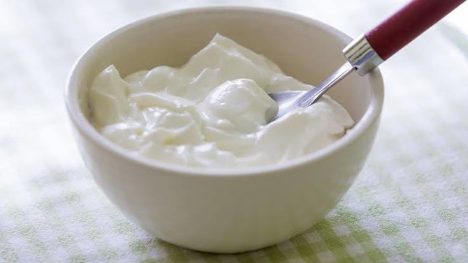 ilustrasi yogurt