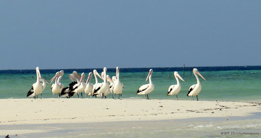 kepulauan kei maluku tenggara