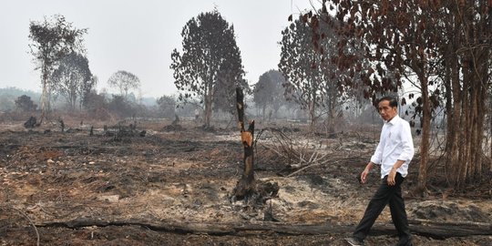 Jokowi Ingatkan Antisipasi Kebakaran Hutan di Tengah Pandemi