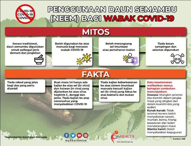 belum terbukti daun mimba dapat menyembuhkan virus covid 19