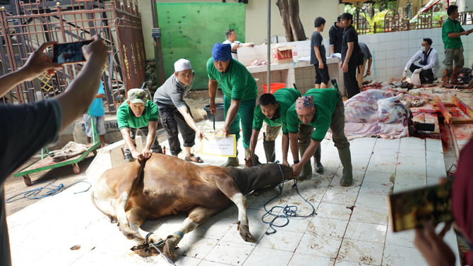 penyembelihan hewan kurban di masjid sunda kelapa