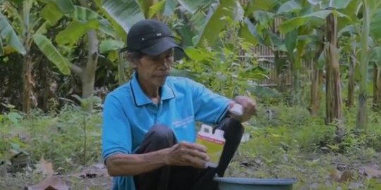 Mengenal Mbah Lasiyo, Petani Asal Bantul yang Dijuluki Profesor Pisang