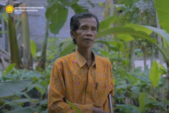 lasiyo profesor pisang