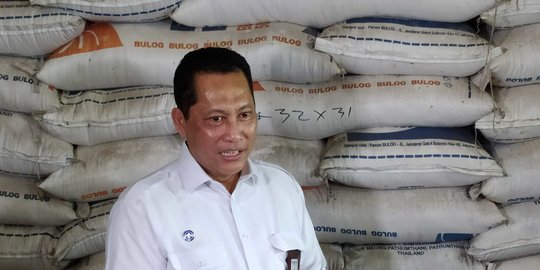 Bulog Usulkan Anggaran Beras Rp19,05 Triliun di 2021