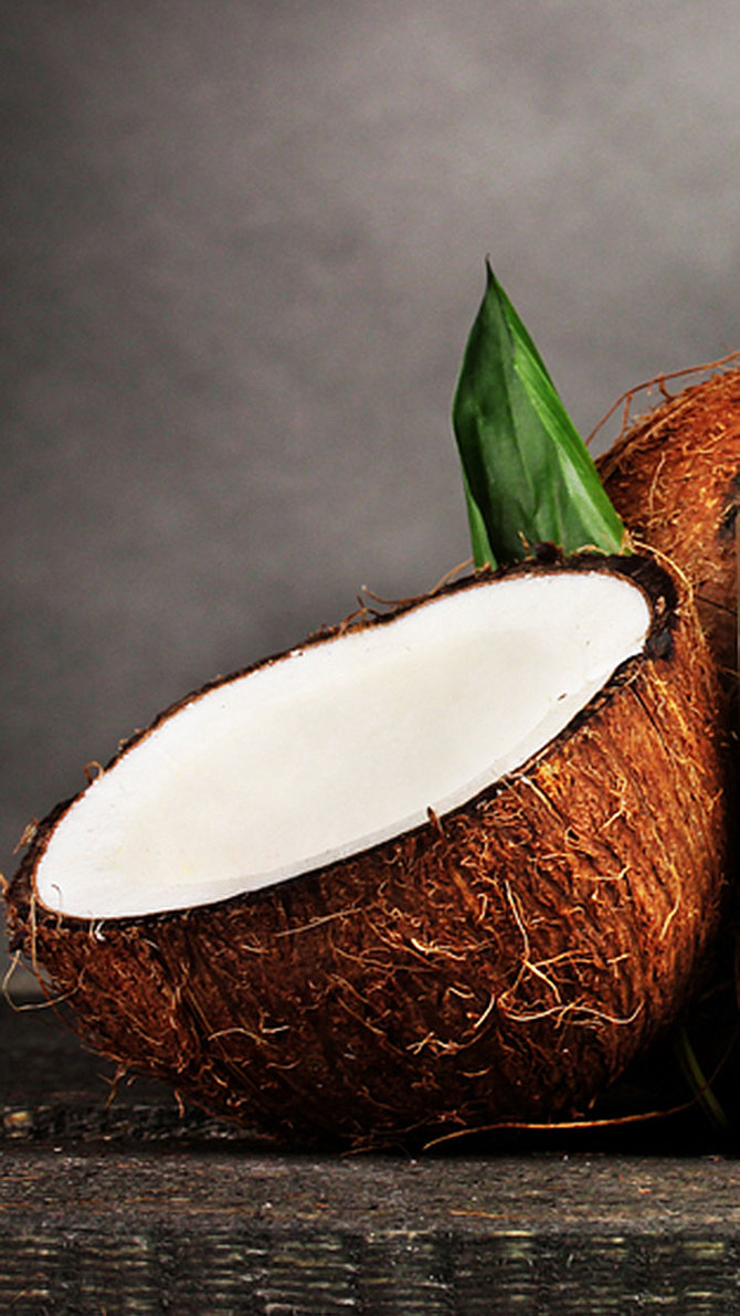 vertikal ilustrasi kelapa