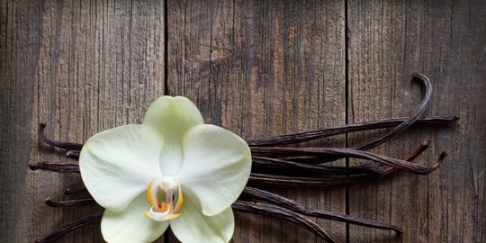 5 aroma parfum yang bisa membuat pria jadi bergairah dan tergila-gila