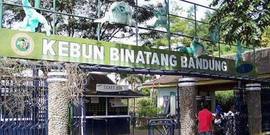 Kembali Dibuka, Kebun Binatang Bandung Masih Sepi Pengunjung