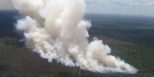 Lahan Seluas 5 Hektare Milik Perusahaan di Pelalawan Terbakar